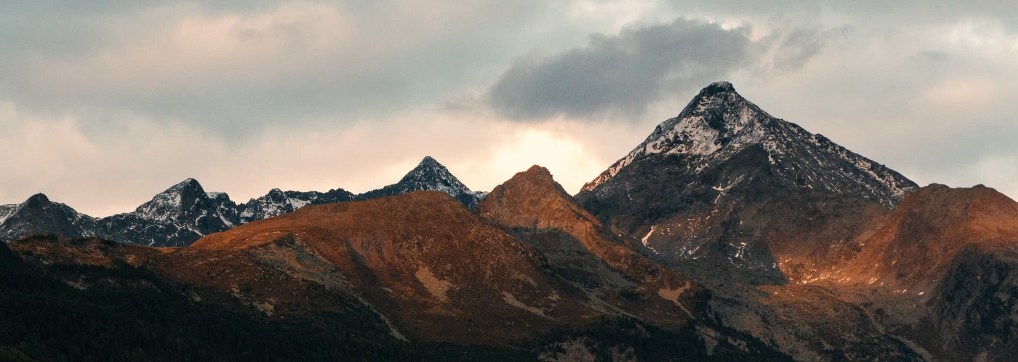 Bring Three, go for Free